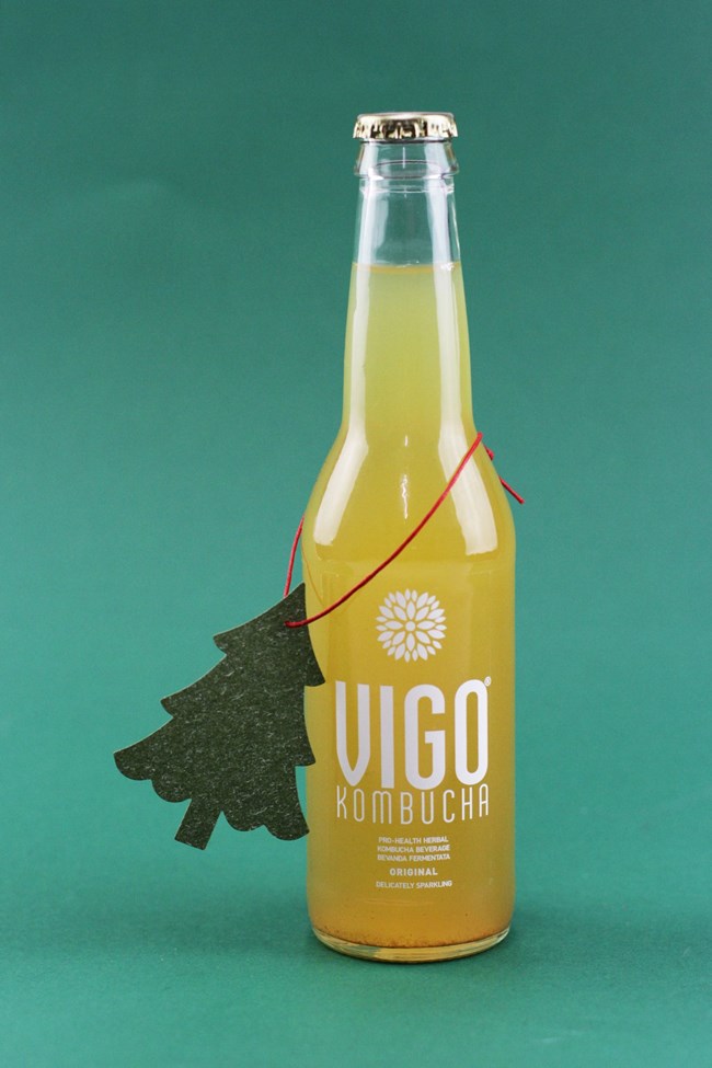 Vigo Kombucha: Ο "διάσημος" μύκητας που όλοι θέλουν να δοκιμάσουν